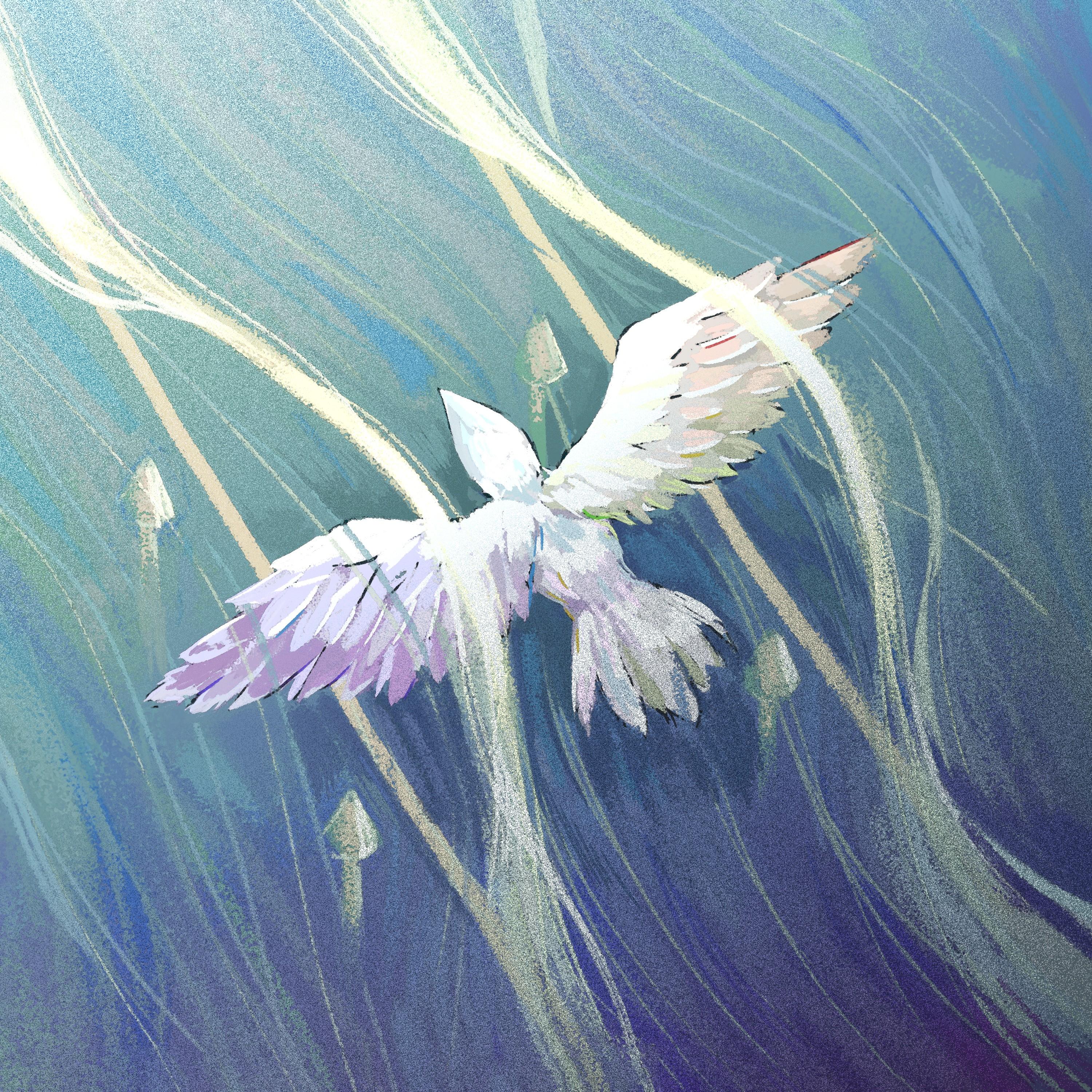 Image Cover